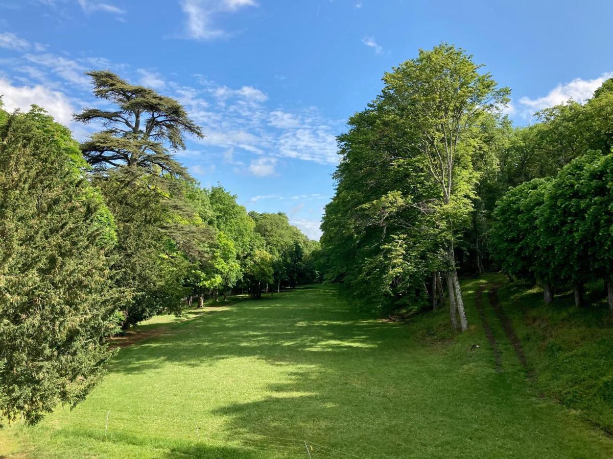 Chateau Laborde Saint Martin Cande-sur-Beuvron Luaran gambar